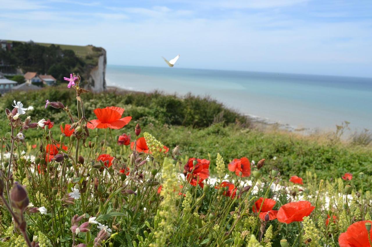 "Chez Michel " Les Gites De Sery Bouillancourt-en-Sery ภายนอก รูปภาพ